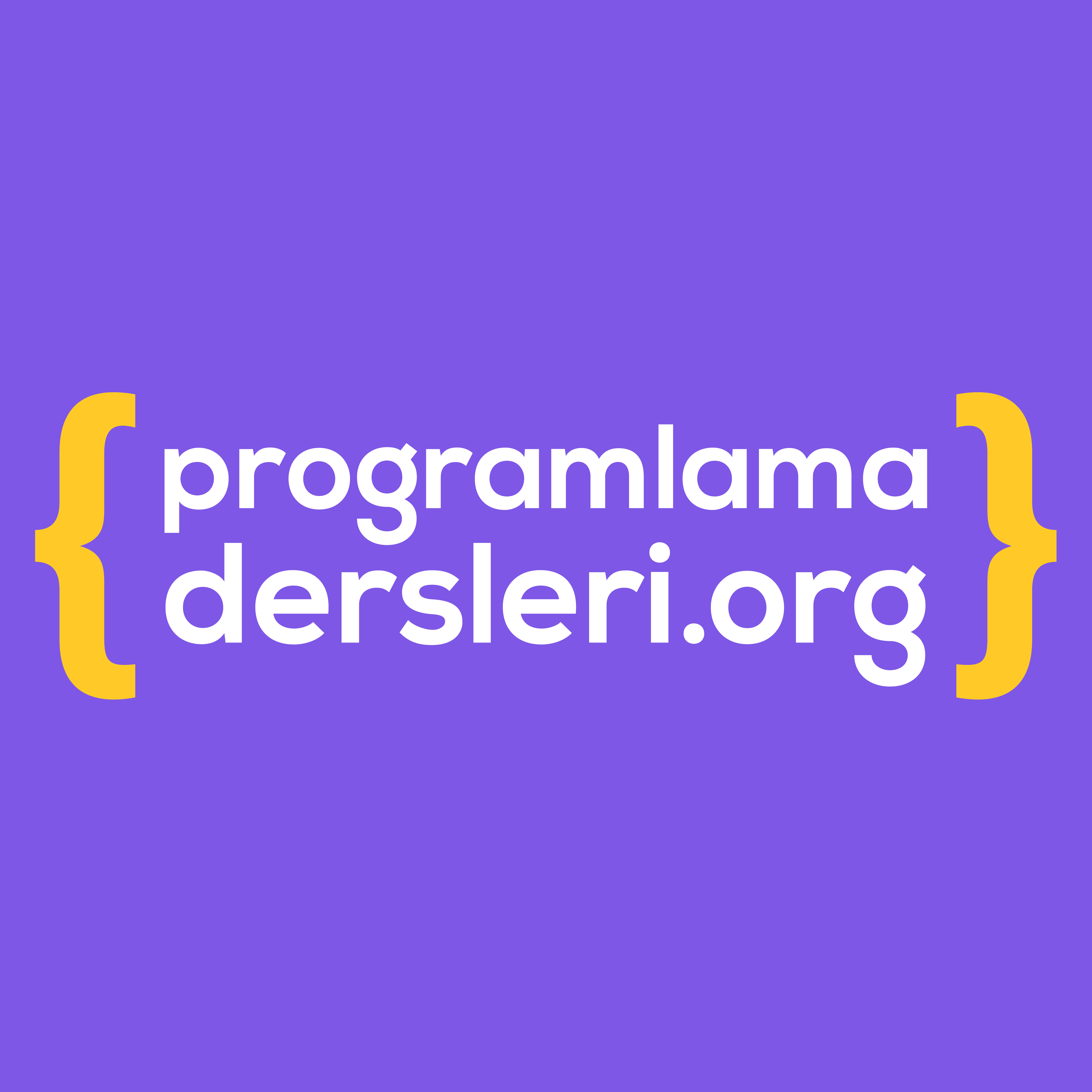 programlamadersleri.org